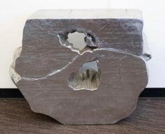 Silver Gilt Organic Composite Tree Trunk Live Edge Console Table