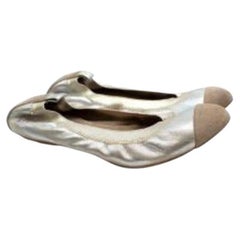 Silver & Gold Stretch Ballerina Pumps