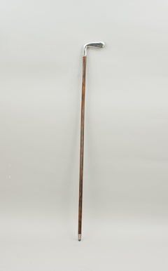 Silver Golf Club Walking Stick with Compartment