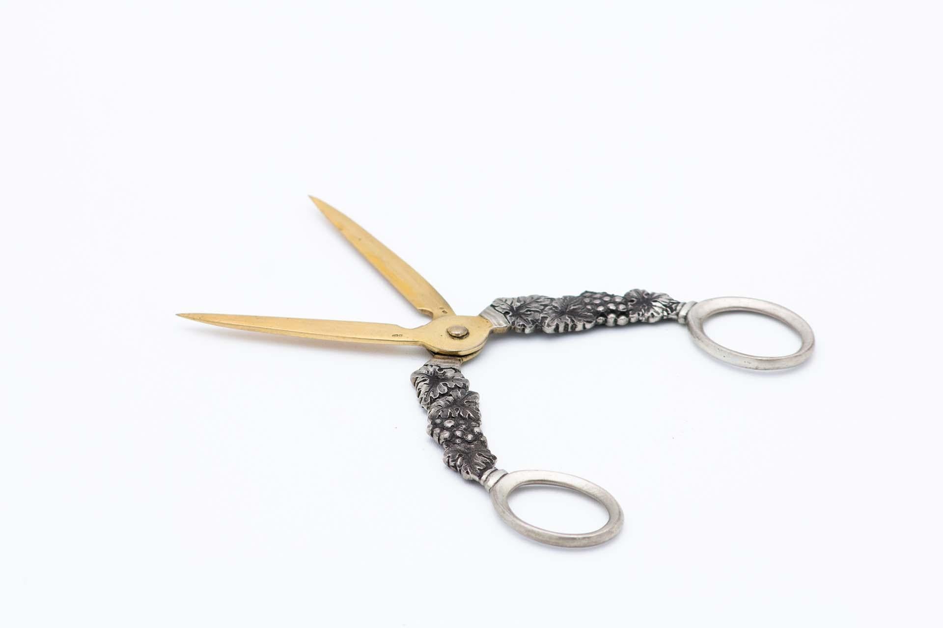 Silver grape scissors
