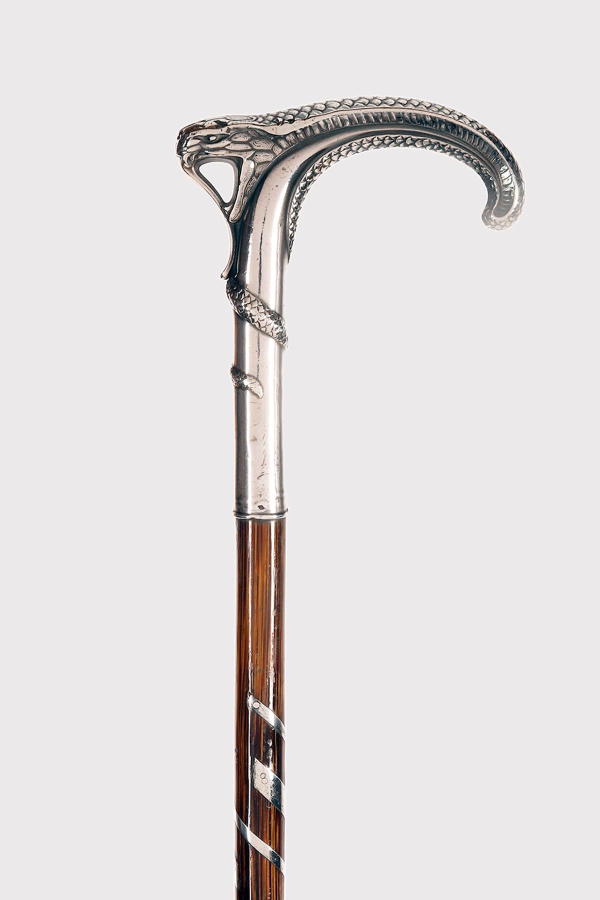 Walking stick: Art nouveau silver handle, depicting a snake. Ebony wood shaft. Metal ferrule. France circa 1900.