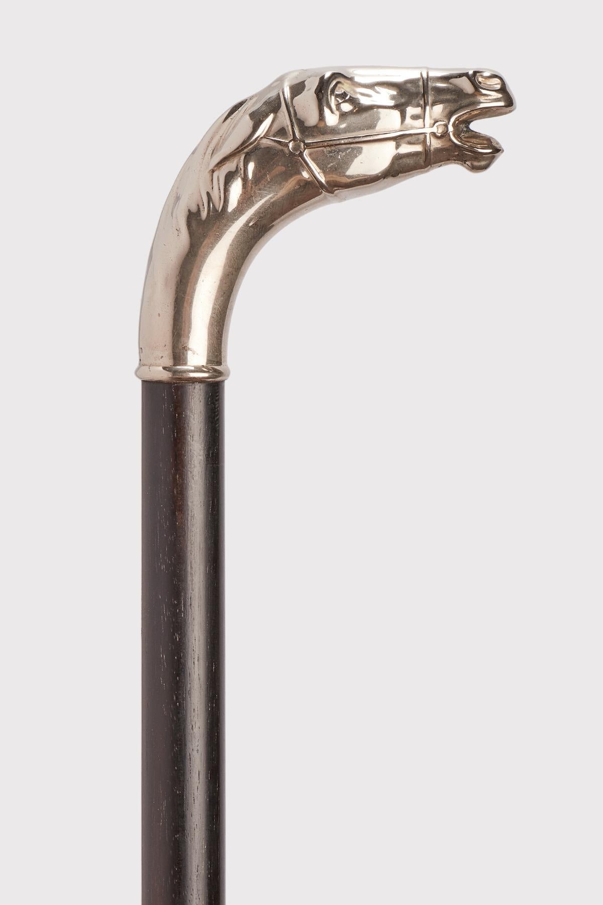 Tedesco Silver handle walking stick, depicting the head of a horse Germany 1900. in vendita