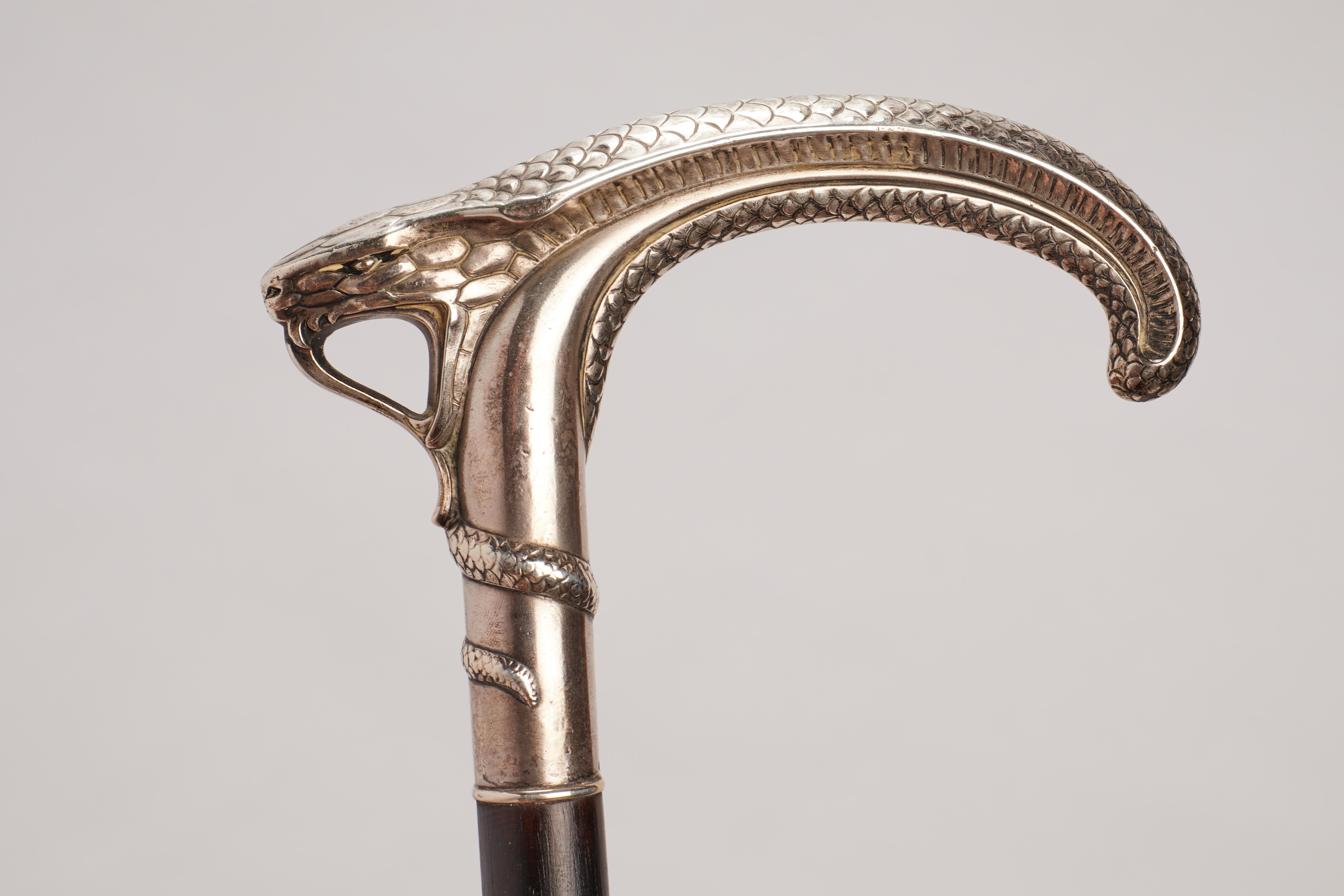 Late 19th Century Silver Handle Walking Stick, France, 1900