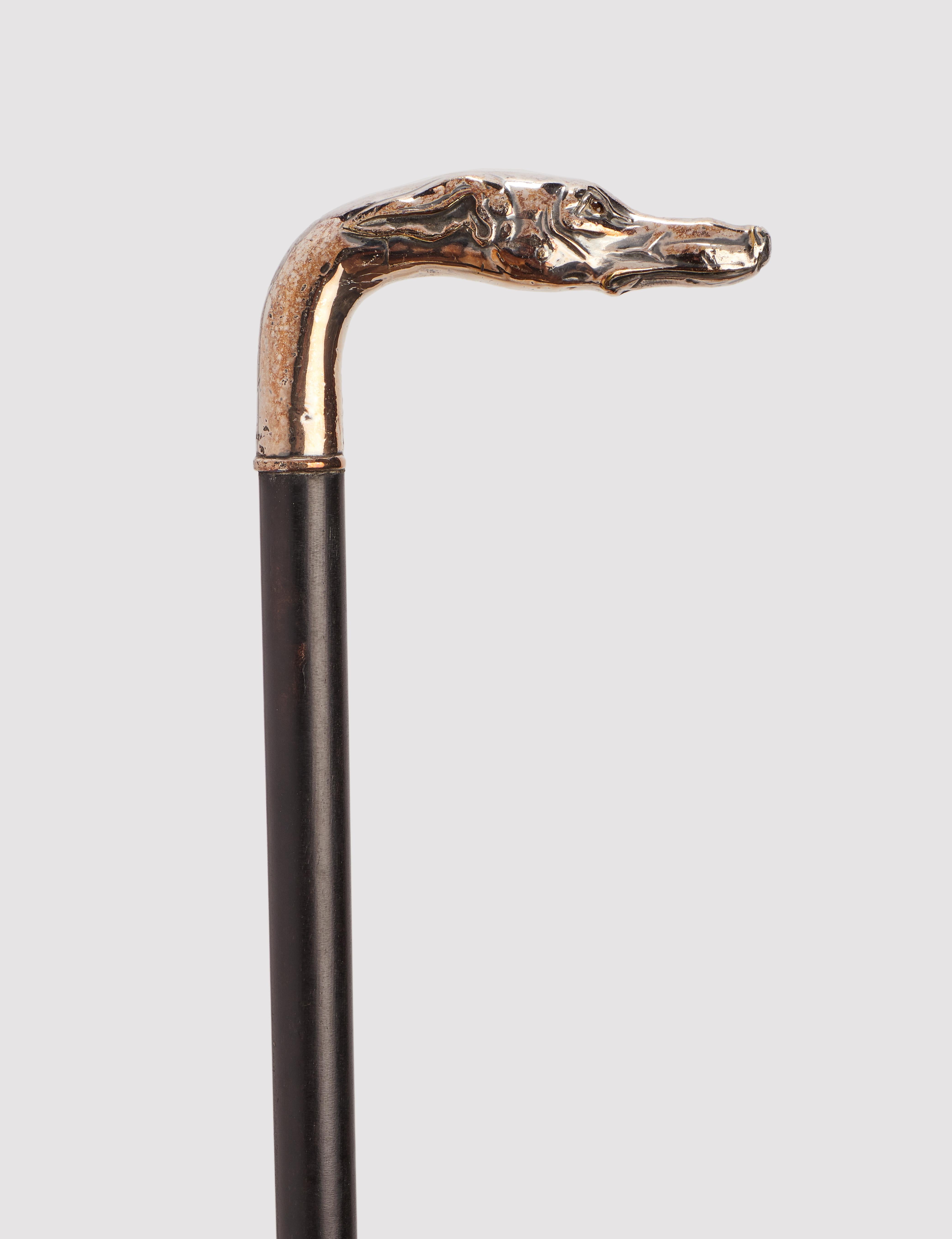 Walking stick: silver handle, depicting the head of a whippet dog. Ebony wood shaft. Metal ferrule. Germany 1900 ca.