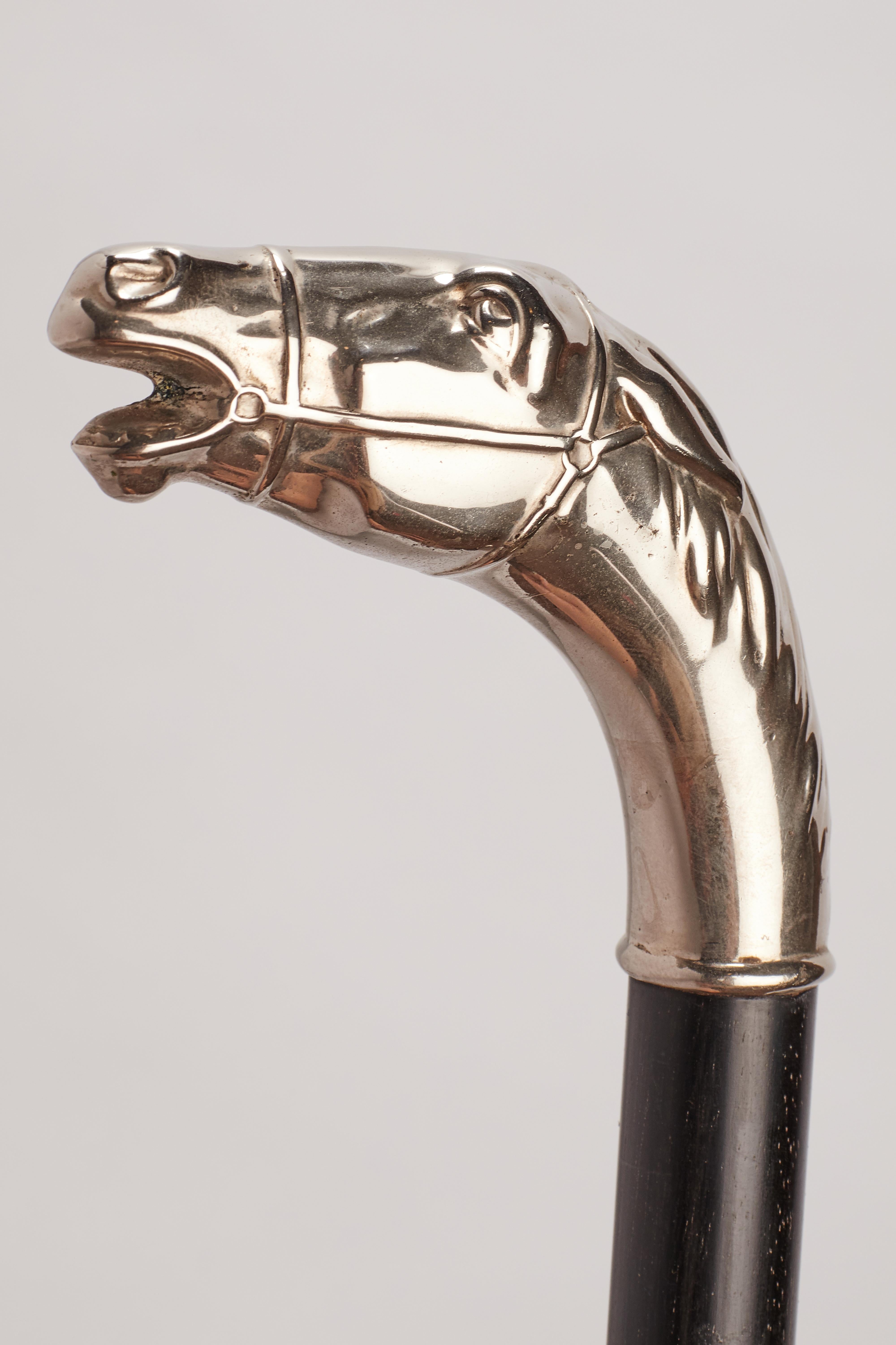 20th Century Silver Handle Walking Stick, Germany, 1900 For Sale