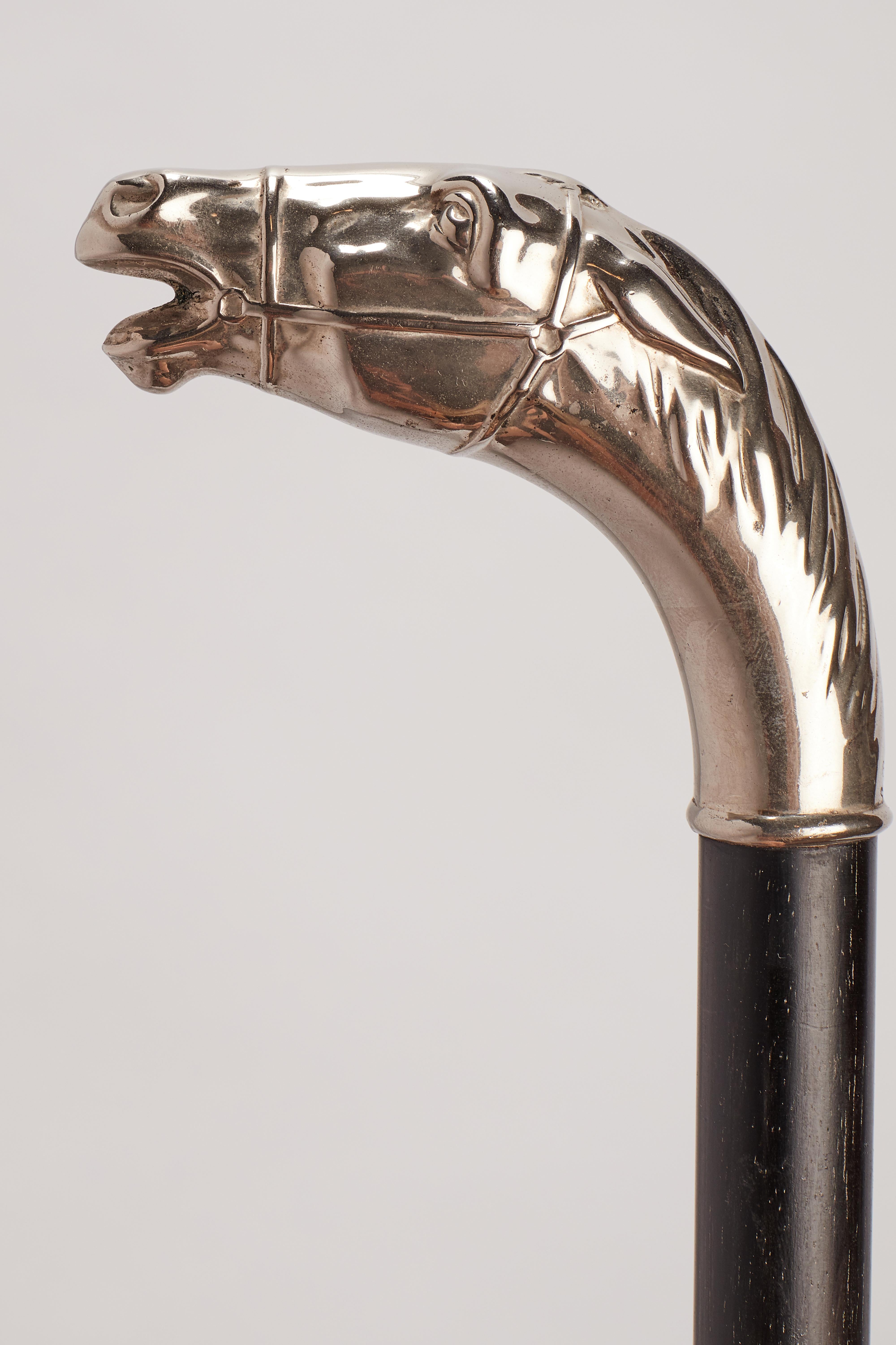 Metal Silver Handle Walking Stick, Germany, 1900 For Sale