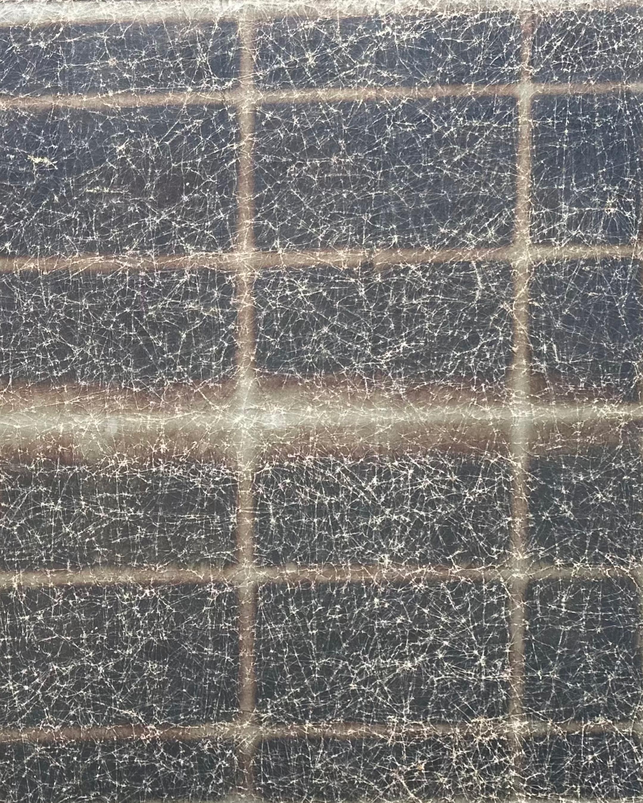 Silver Harmony For Sale 1