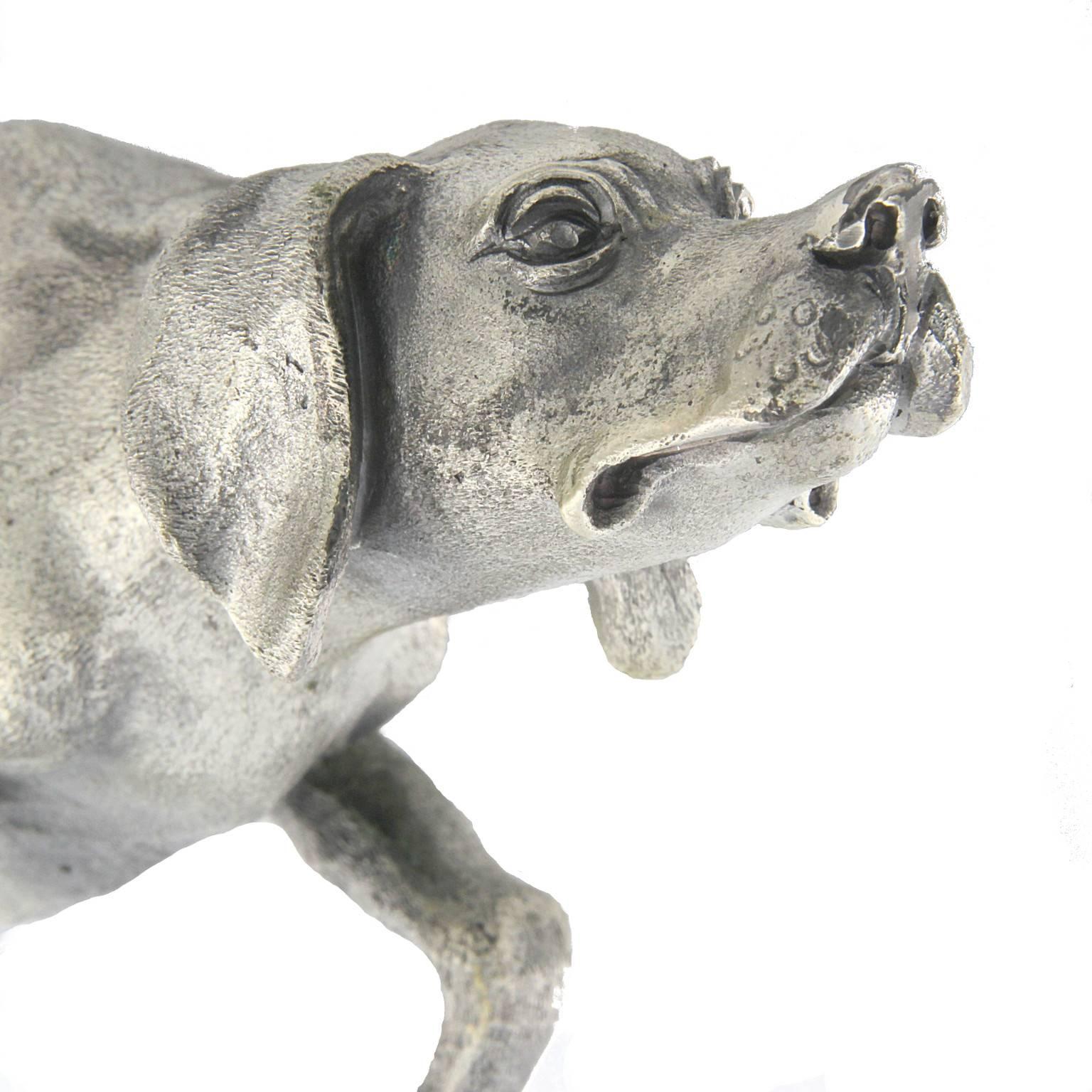 silver hound dog