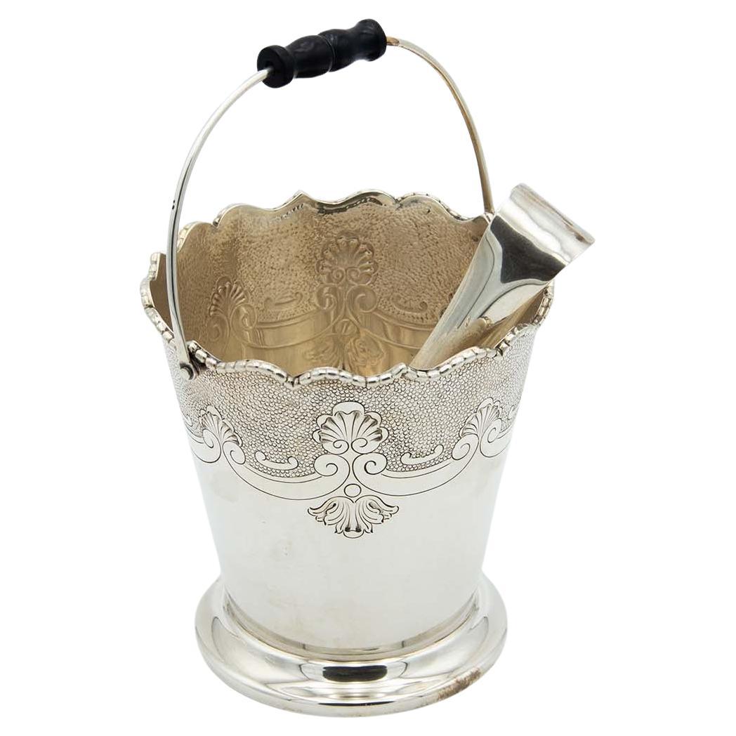 Silver ice bucket with tongs