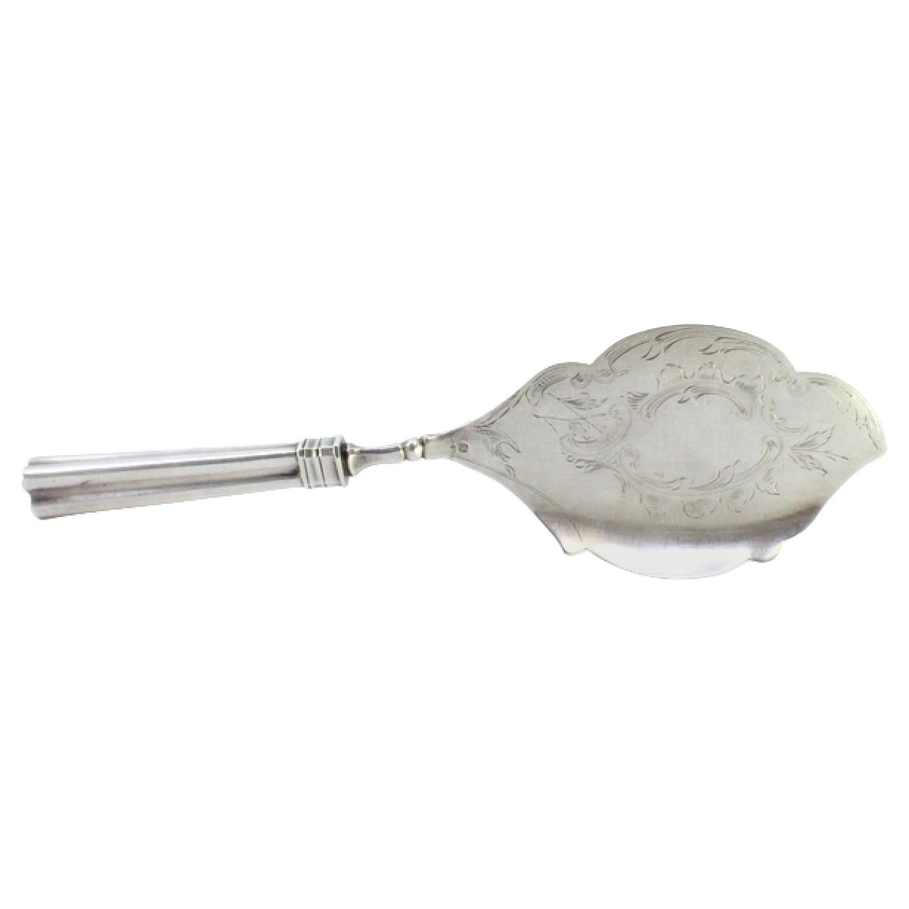 Silver ice cream serving spatula
