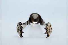 Silver ice tongs with claws on the tongs