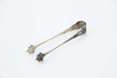 Silver ice tongs with reliefs and friezes