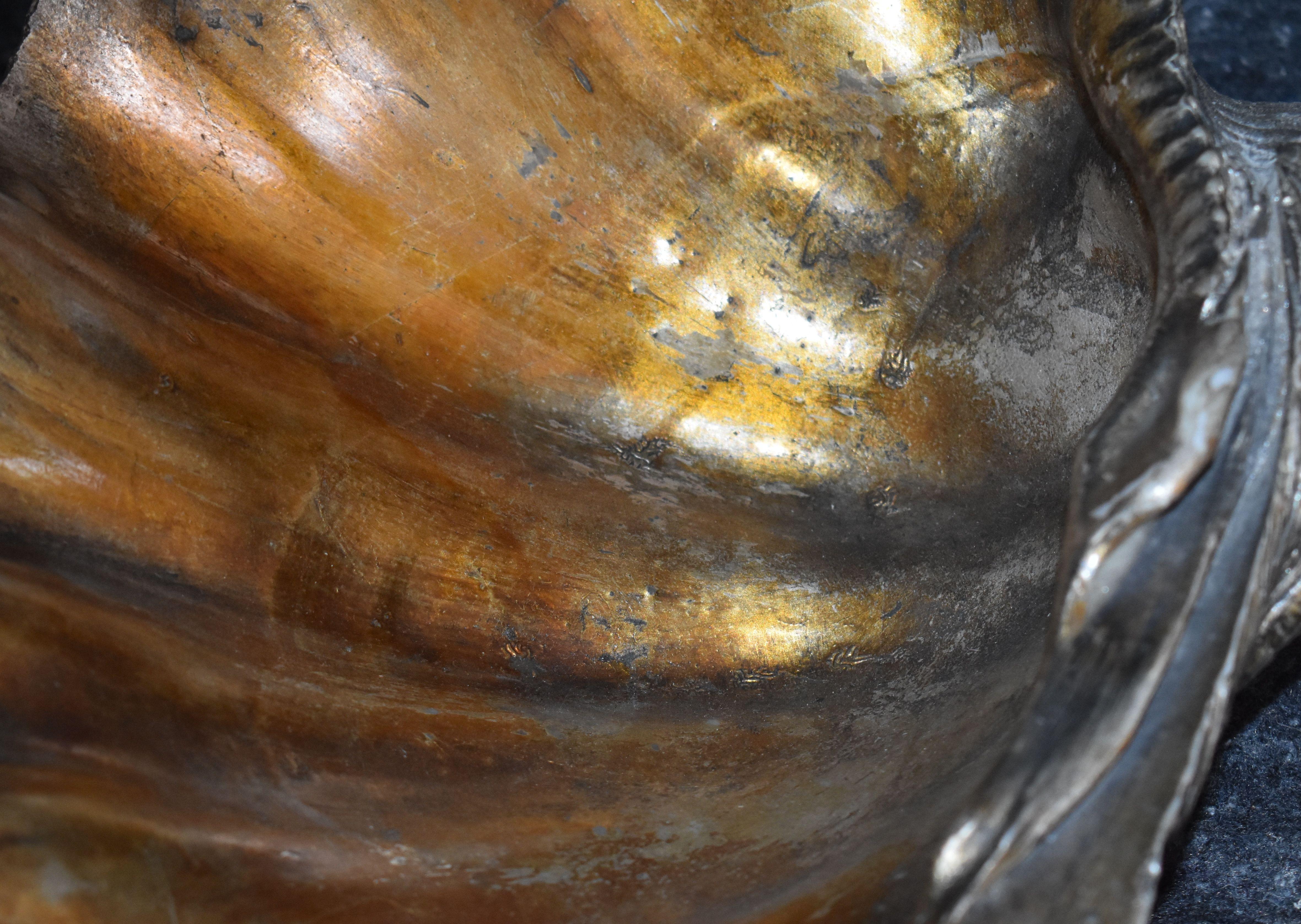 sea shell city