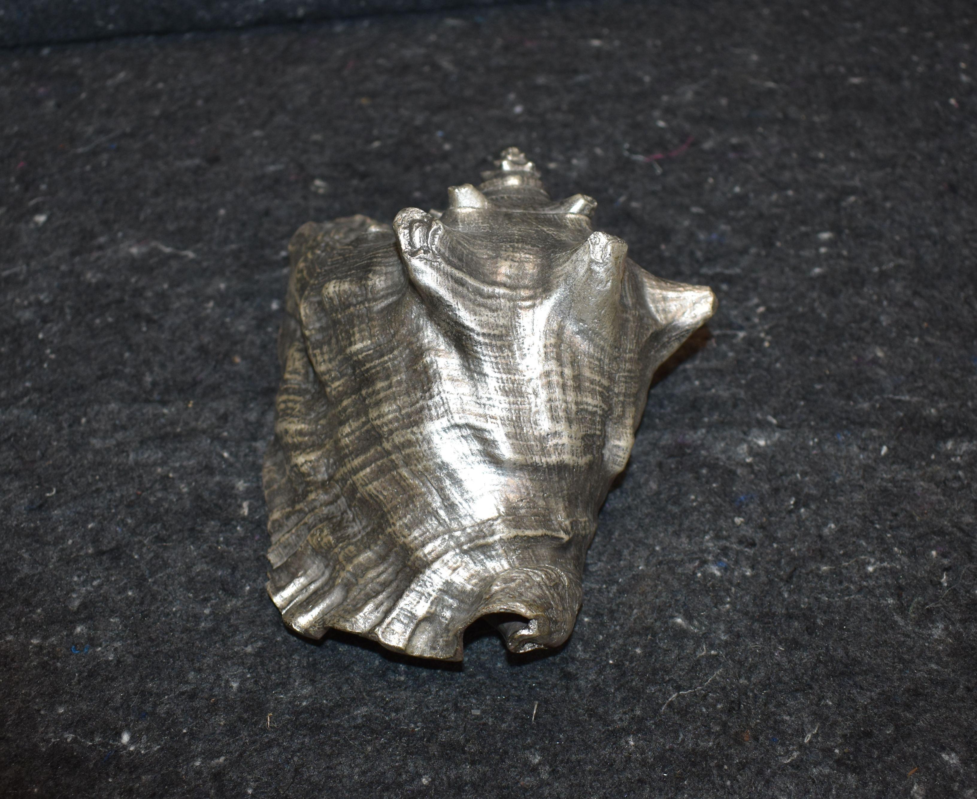 20th Century Silver Leaf Natural Sea Shell