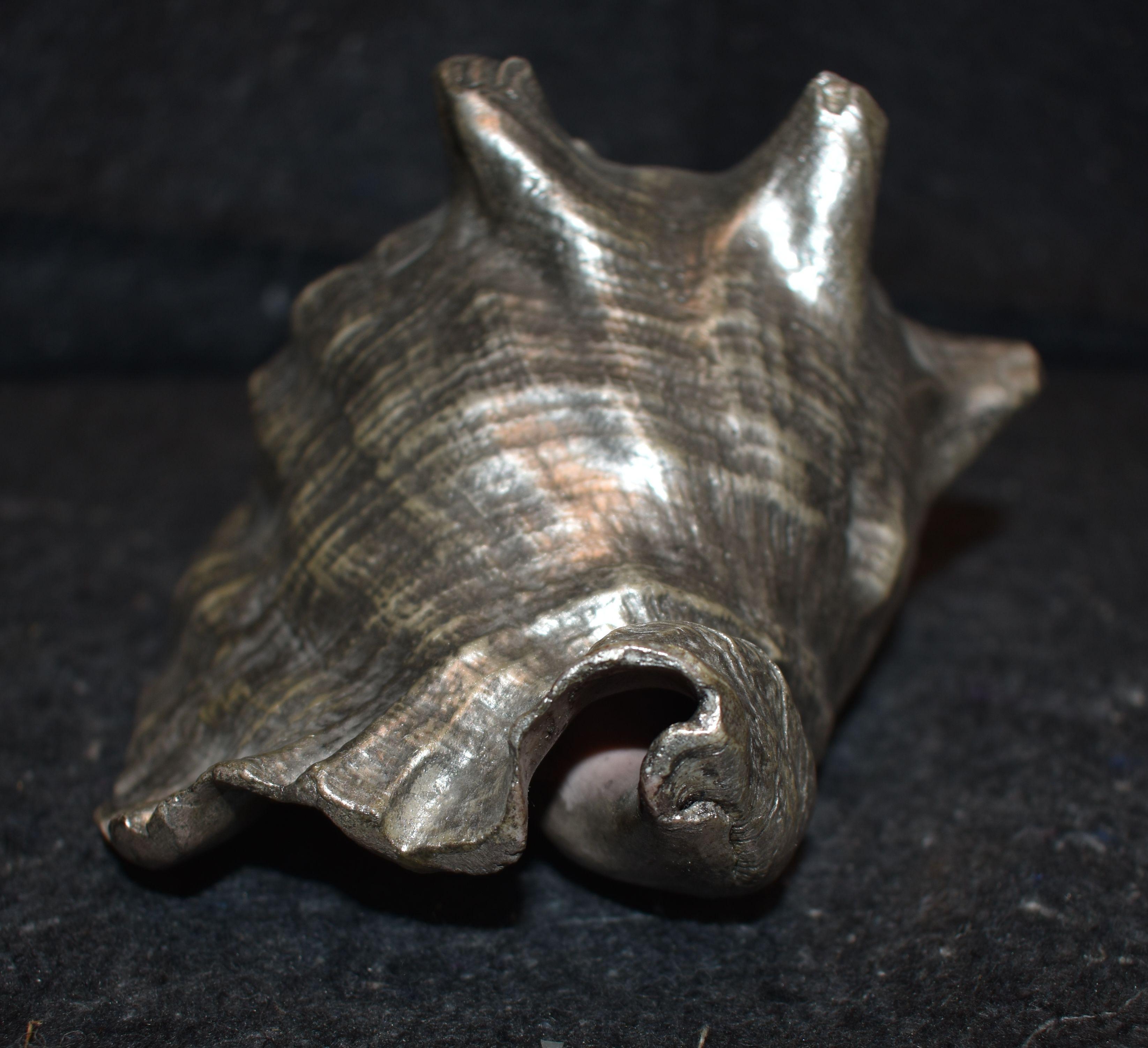 Silver Leaf Natural Sea Shell 1