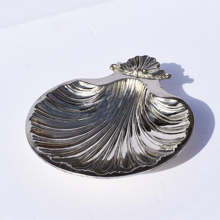 silver seashell