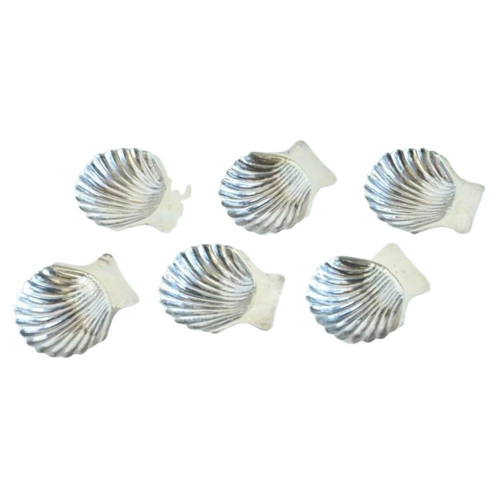 Salines mexicaines d
A Silver