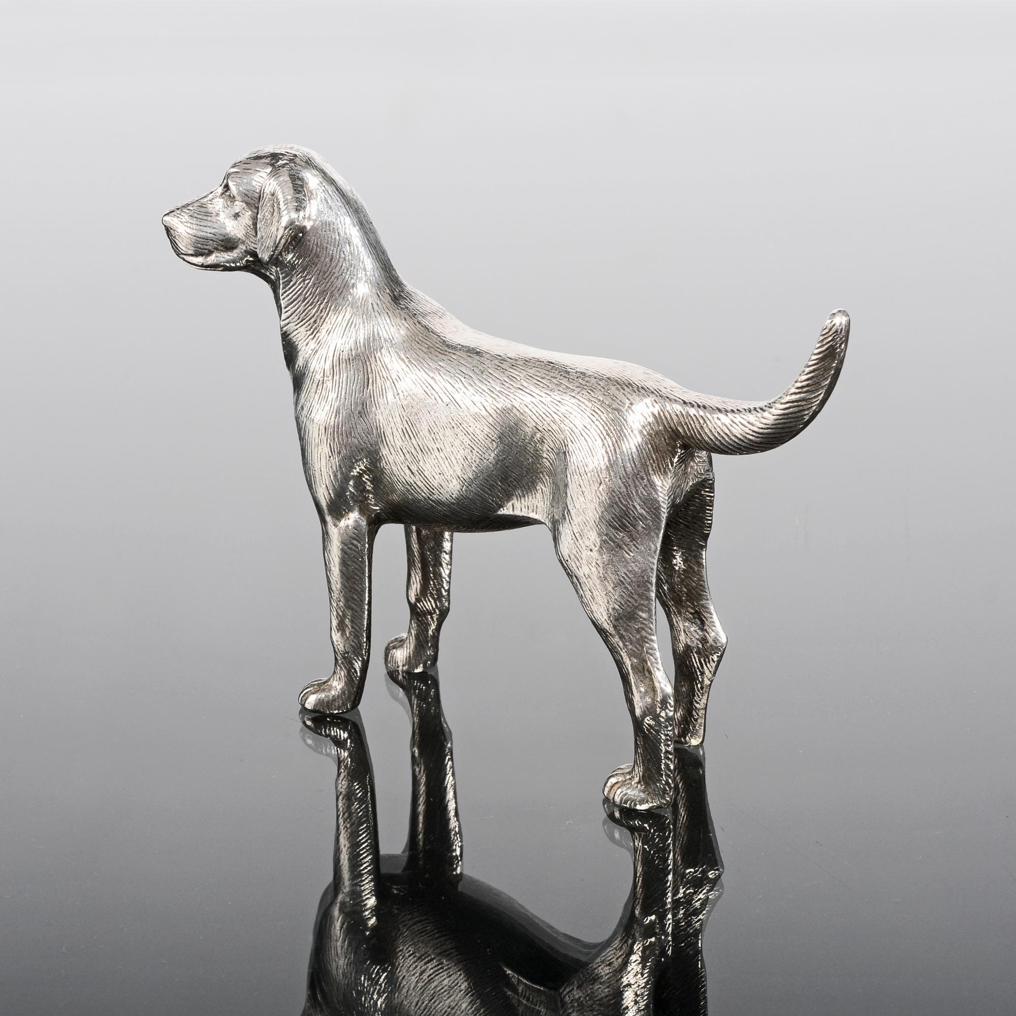 This heavy quality model of a labrador dog is cast in sterling silver and hand chased to create a lively, lifelike appearance.

Additional information:
Weight: 13 troy oz (410g)
Year: 1978
Place: Birmingham
