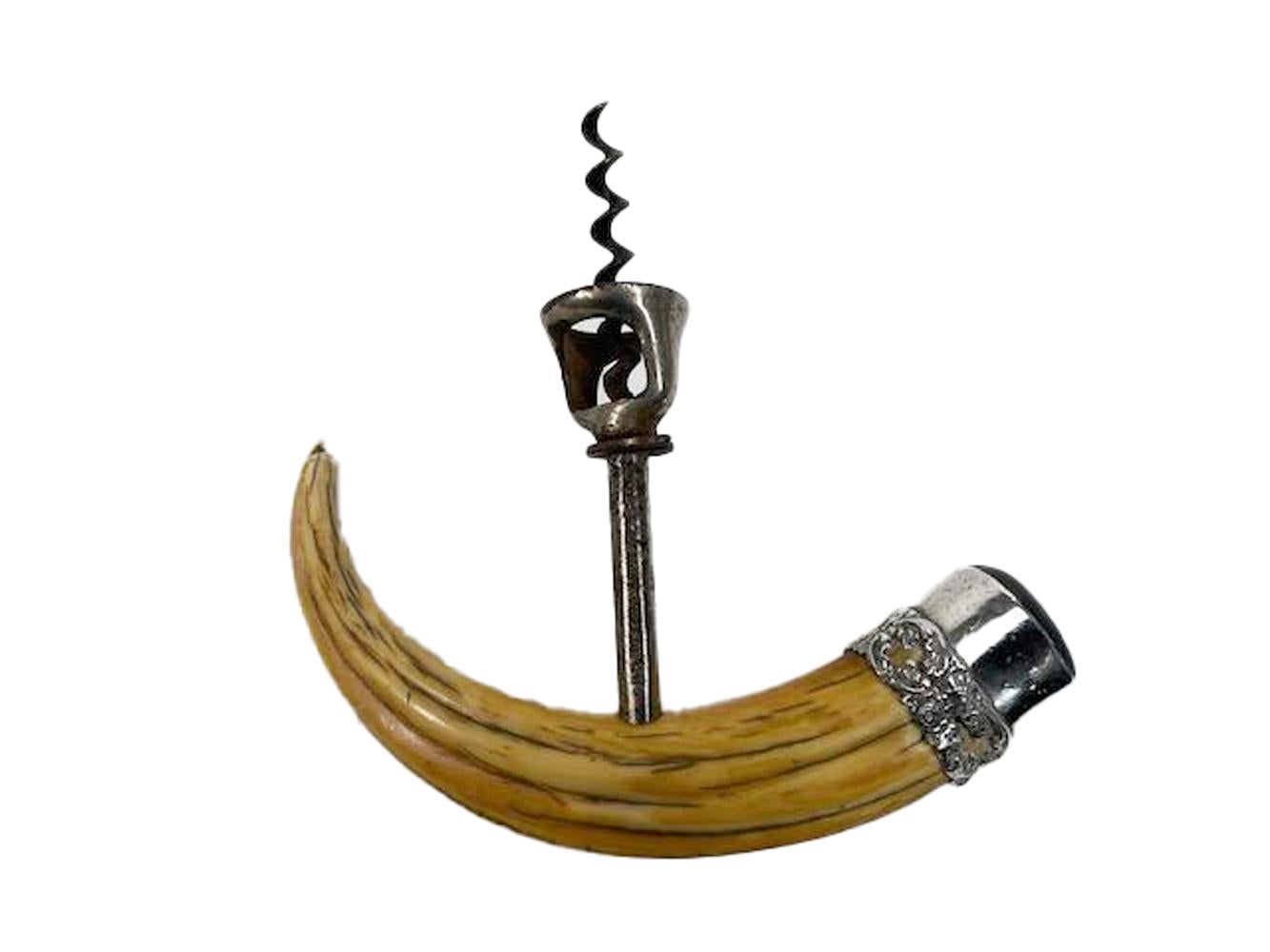 Late 19th / Early 20th century sterling silver mounted boar's tusk corkscrew. The boar's tusk handle with a floral decorated sterling collar and hard wood cap fitted with a steel corkscrew marked on the shaft 