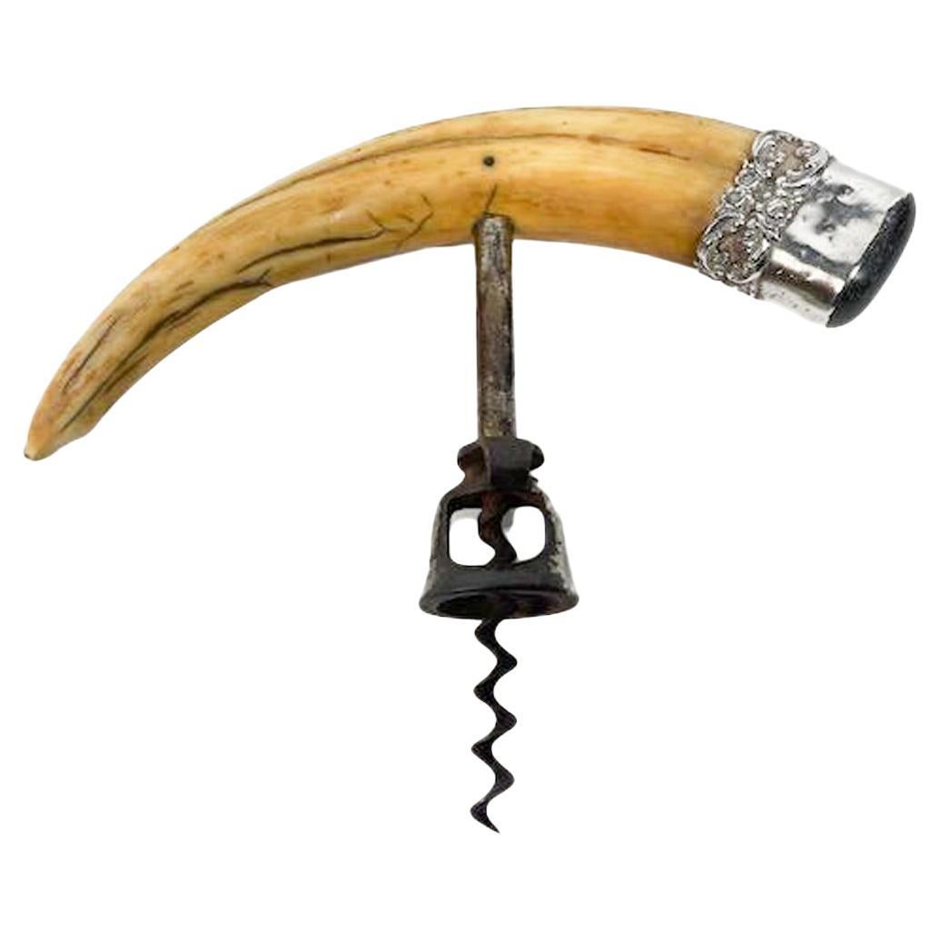 Silver Mounted Boar's Tusk Corkscrew Marked "D.R. Russell, Louisville, KY" For Sale