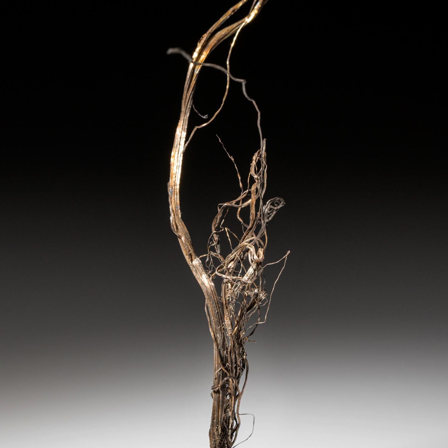 Da Xiaoqinggou, Datong, Shanxi, Cina Formazione scultorea di cristalli a filo ritorto di argento nativo (cristalli d'argento presenti in natura) senza matrice attaccata. L'argento nativo è un grande pezzo da collezione data la sua rarità e le sue