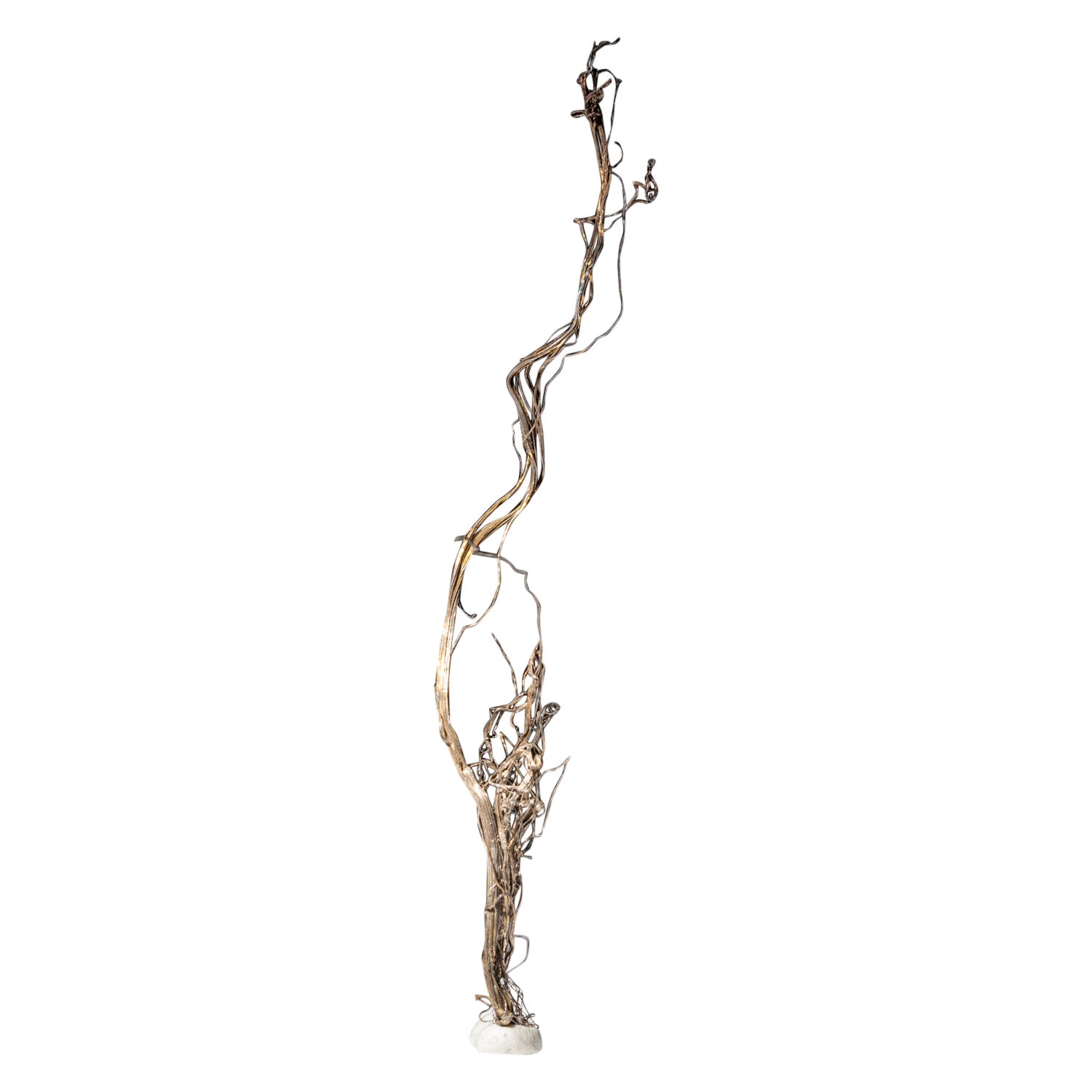 Argent (argent indigène cristallisé naturel) de Xiaoqinggou, Datong, Chine