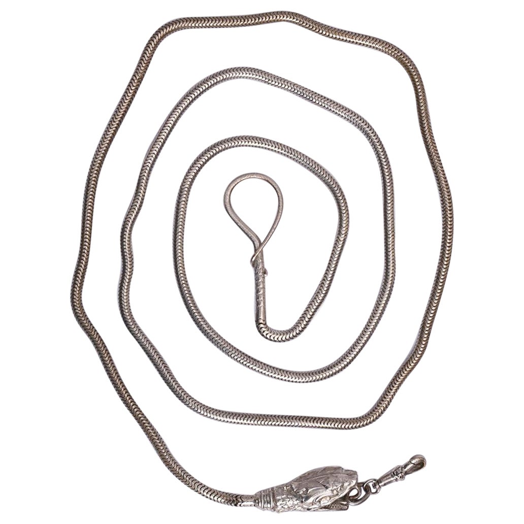 Cinturón plateado que representa una cabeza de serpiente
