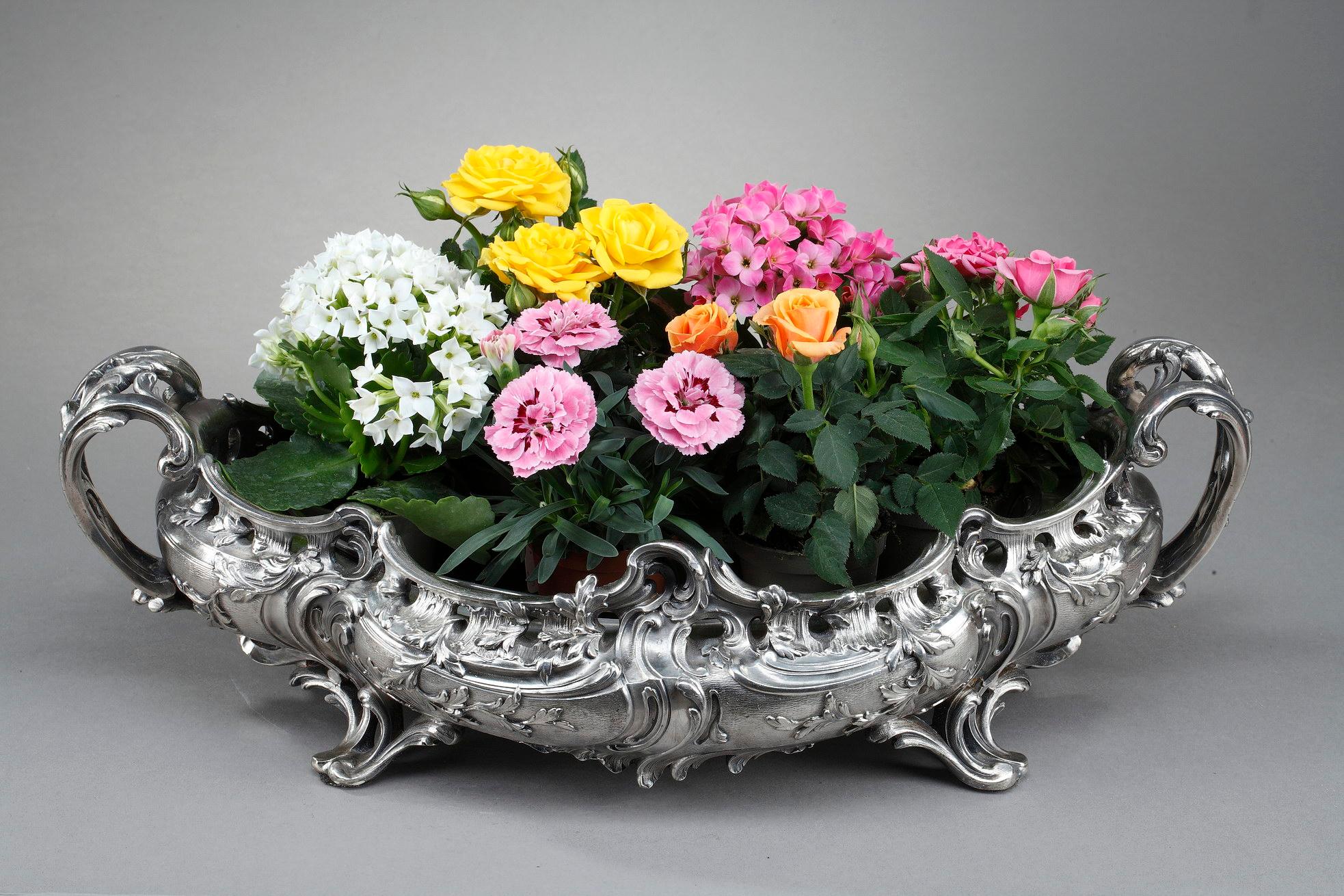 Silver Plated Bronze Jardinière in the Louis XV Style, 19th Century For Sale 14