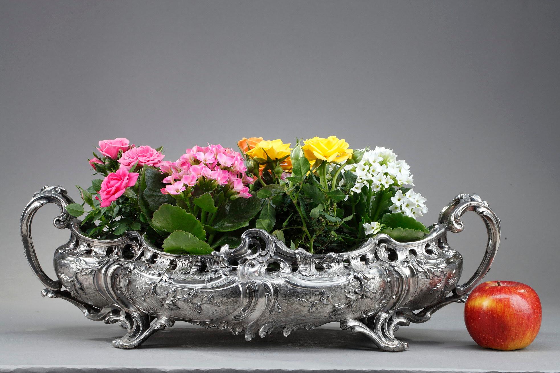 French Silver Plated Bronze Jardinière in the Louis XV Style, 19th Century For Sale