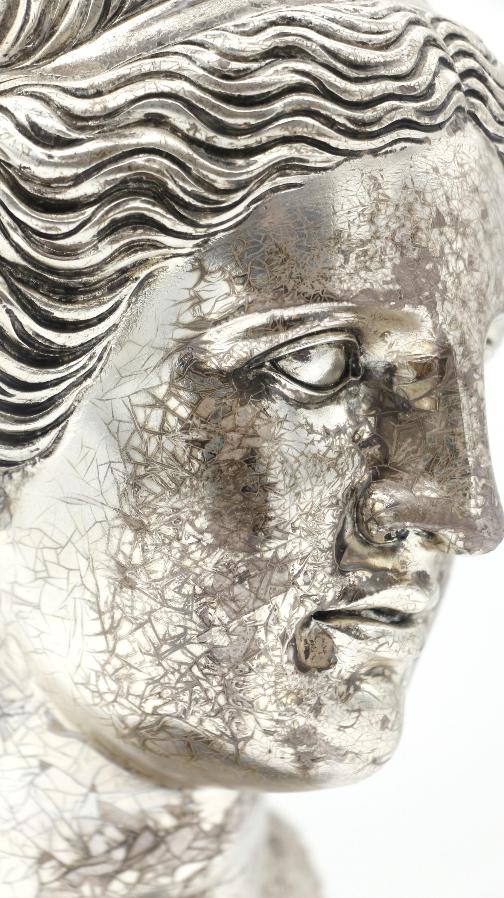 Busto de Venus Diosa de Bronce Plateado Montado en Madera Vaciado en venta