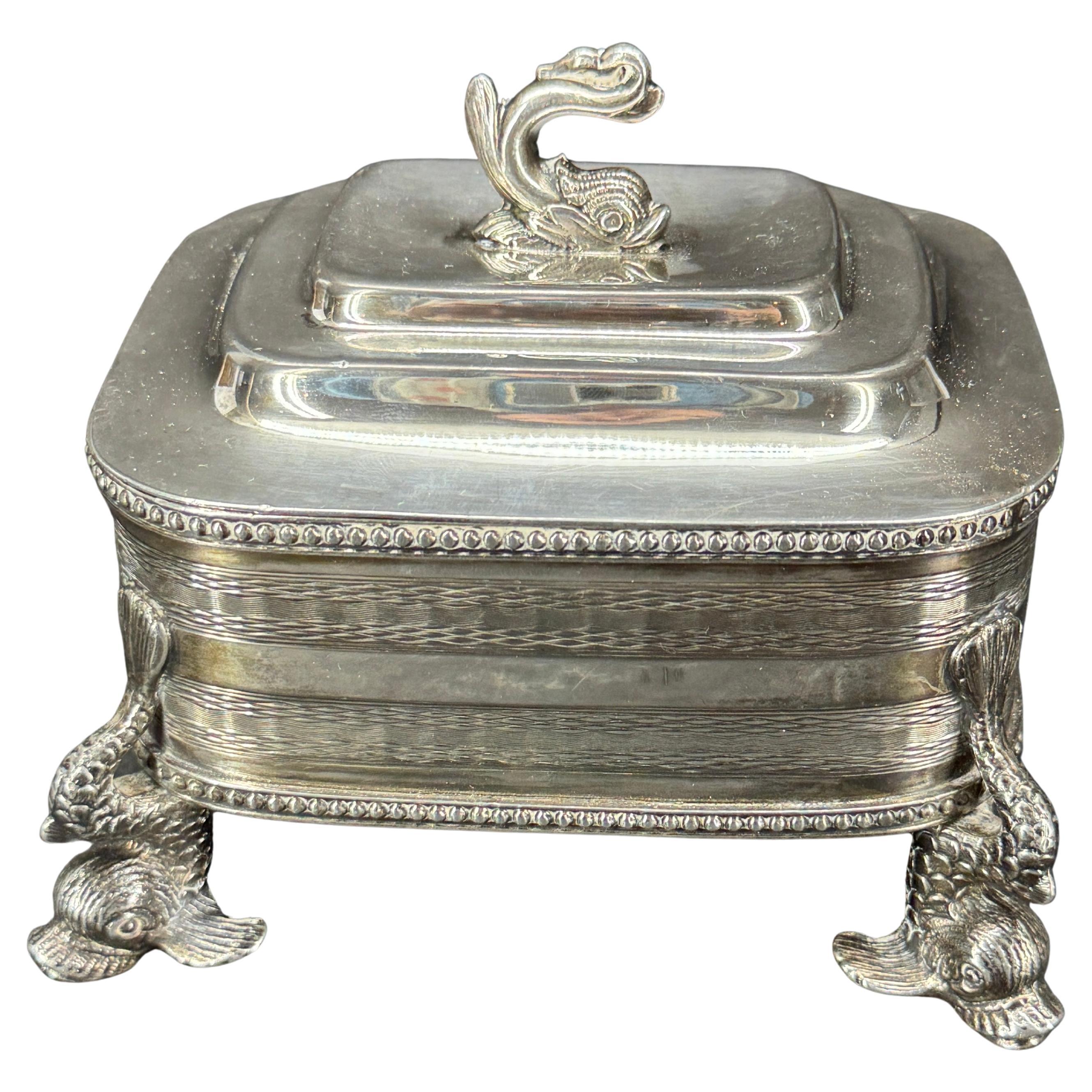 Caja rectangular con pie de delfín y tapa, bañada en plata