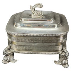 Caja rectangular con pie de delfín y tapa, bañada en plata