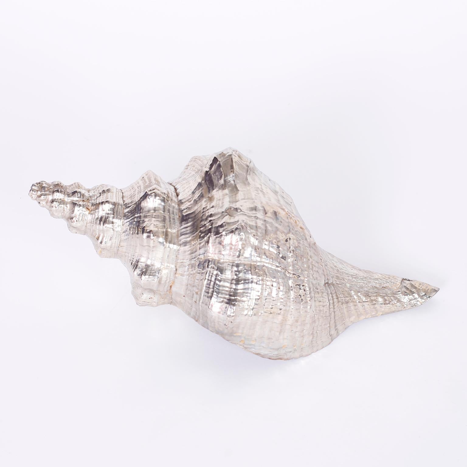 silver conch shell