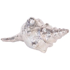 Silver Plated Horse Conch Shell