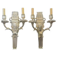 Wall Lights and Sconces
