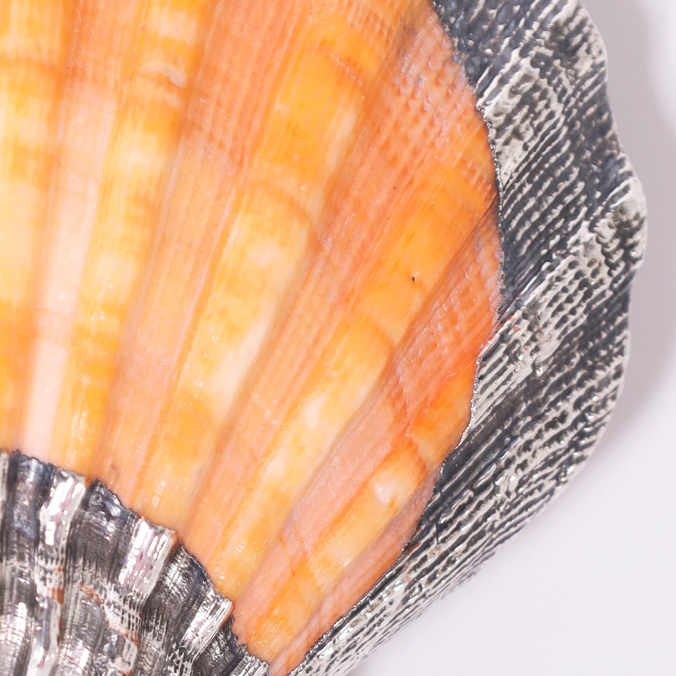 Mid-Century Modern Silver Plated Orange Lion's Paw Seashell
