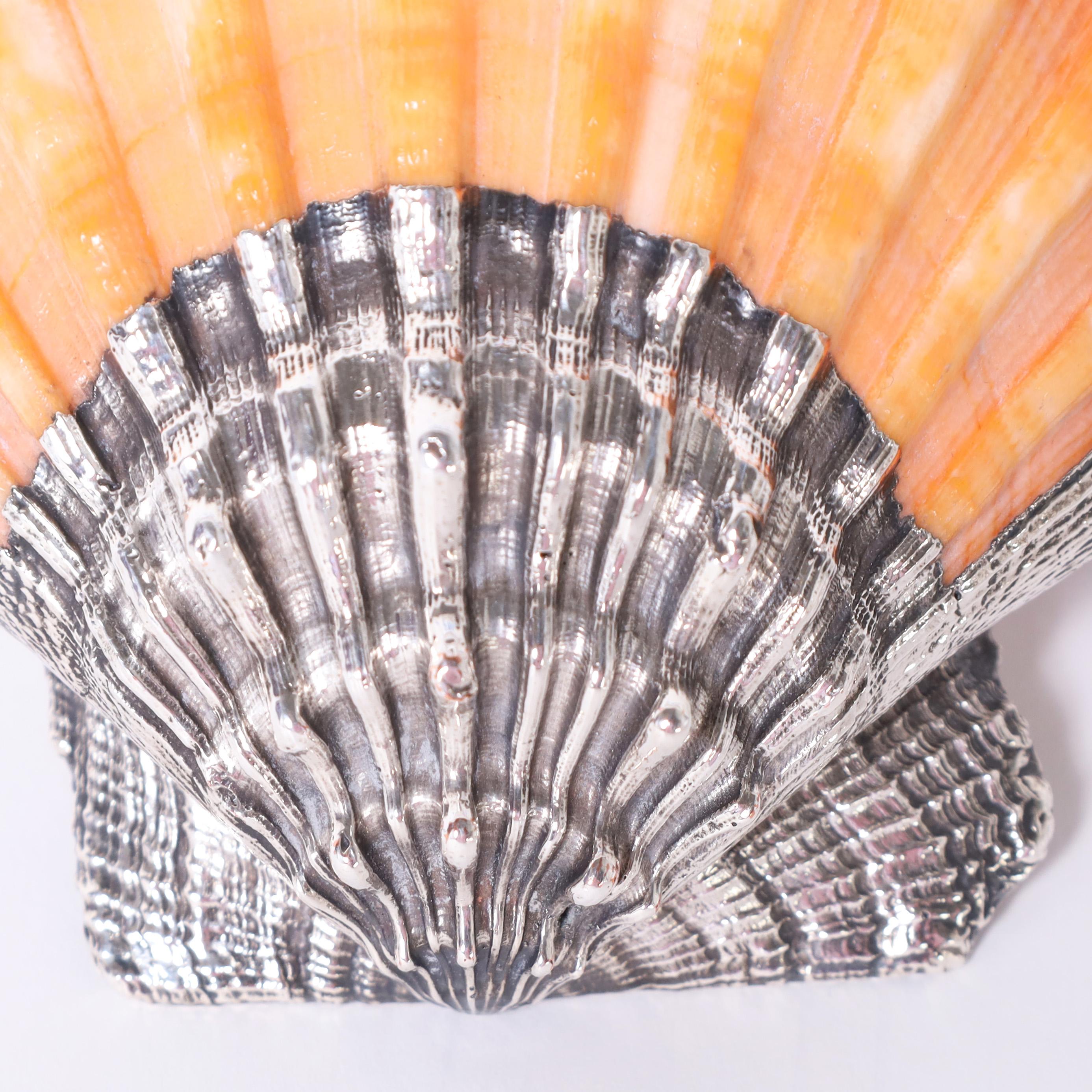 Italian Silver Plated Orange Lion's Paw Seashell
