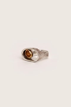 Anillo de plata forjado a mano Alexander van den Hoven, Países Bajos
