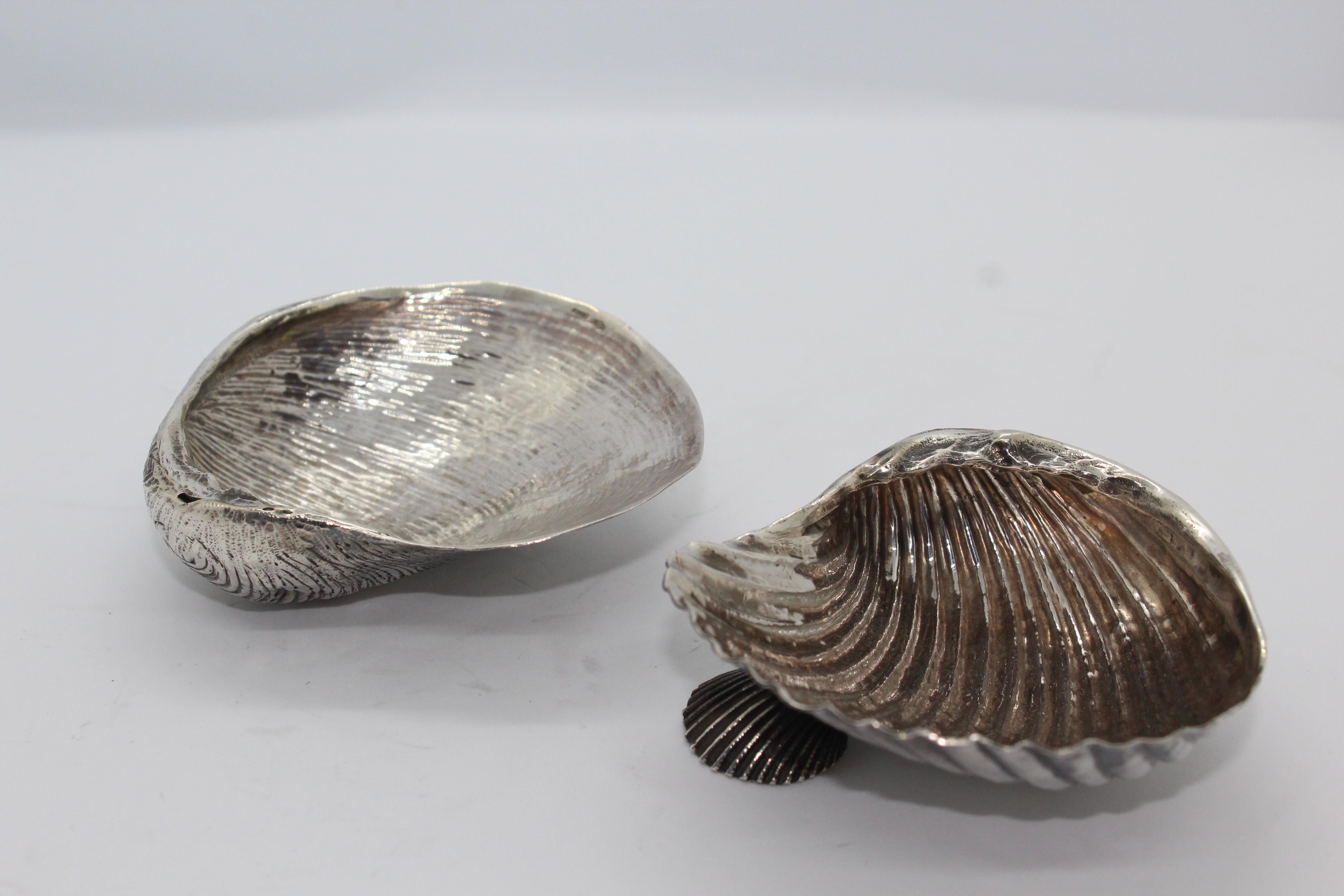 Silver SeaShell For Sale 7