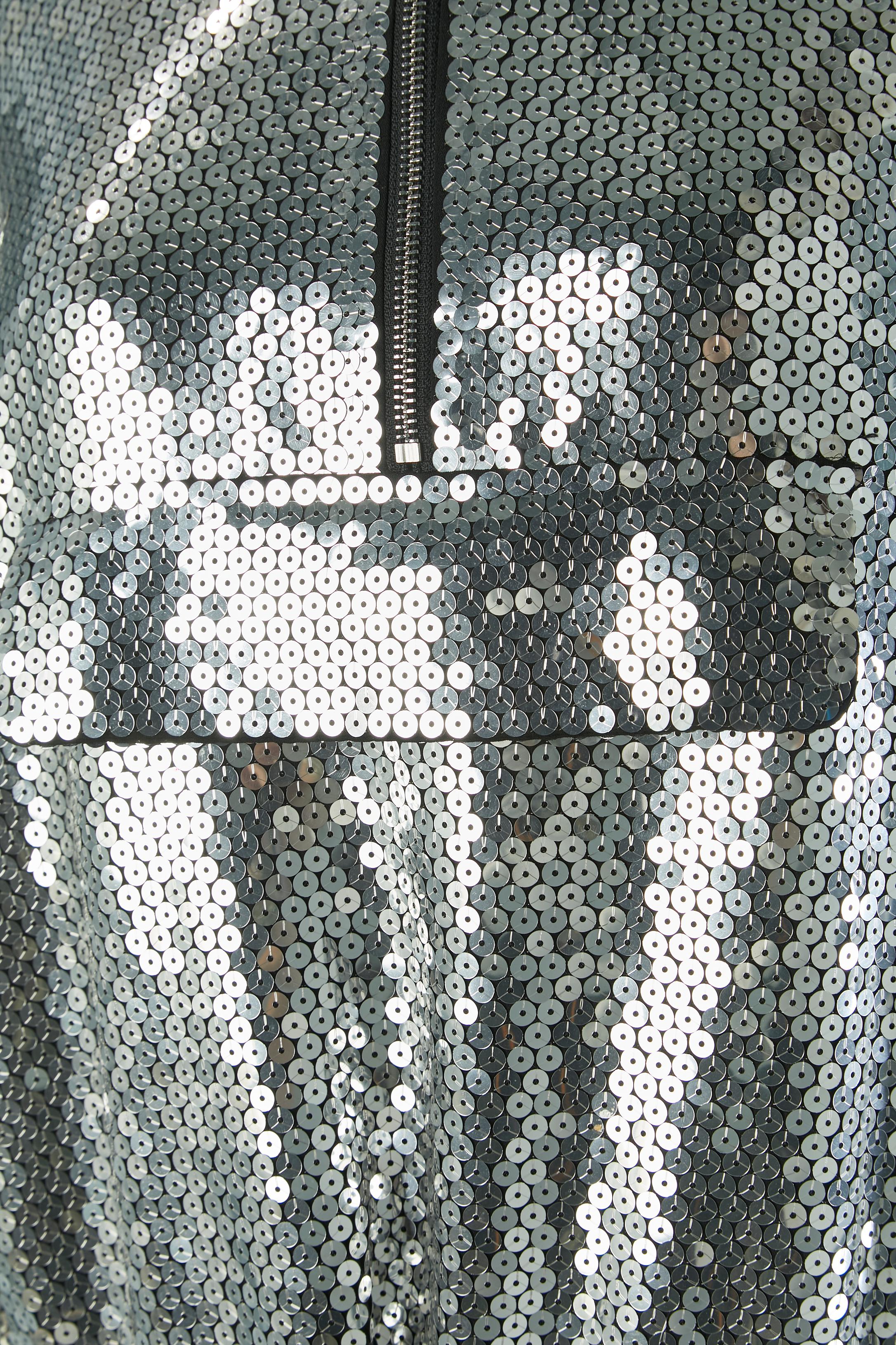 Felpe con cappuccio con paillettes color argento. Composizione del guscio: 100% poliestere. Composizione della fodera con marchio: 55% poliestere, 45% rayon. Chiusura con zip sulla parte anteriore centrale. Una grande tasca sul busto con patta e