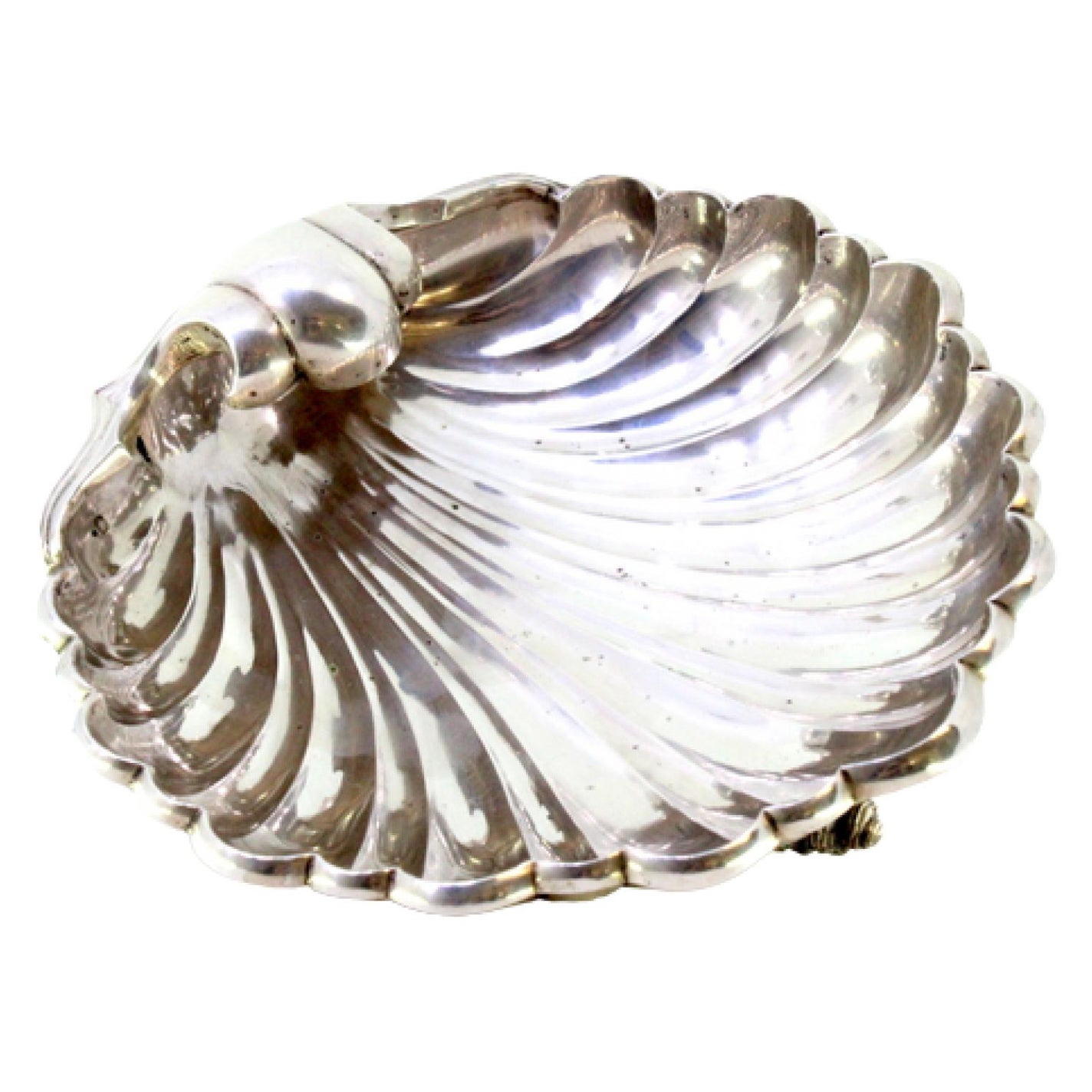 Silver shell candy box w/ 3 embossed cowrie feet