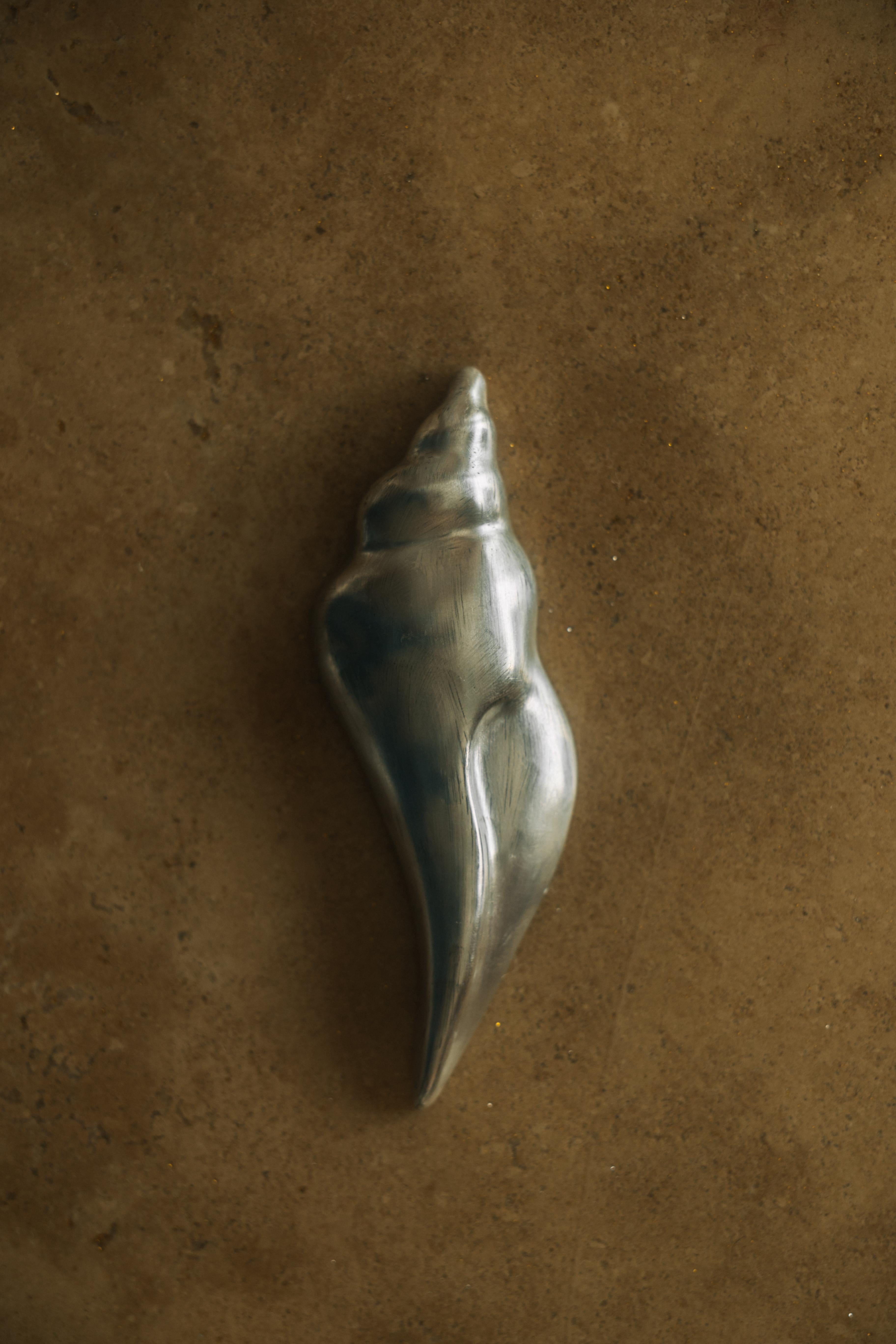 Silver Shell Rest Geschenkset im Angebot 1