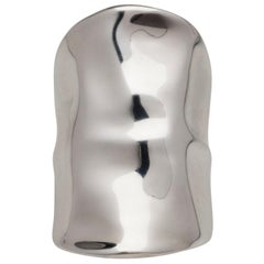 Anillo Escudo de Plata
