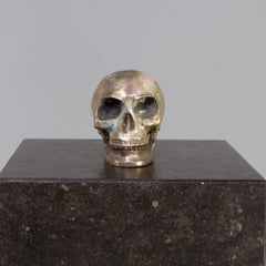 Silver Skull