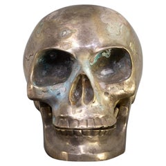 Silver Skull