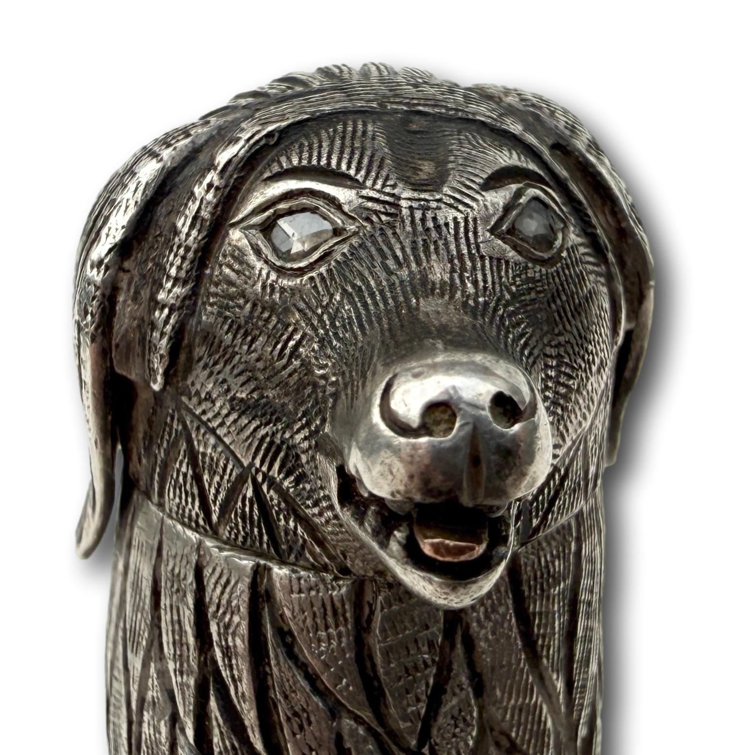 Silver Spice Container in the Form of a Poodle, 18th century. For Sale 5