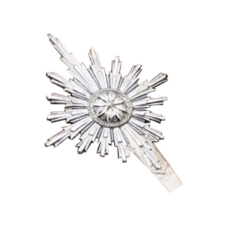 Silver splendor with reliefs and floral elements in the center