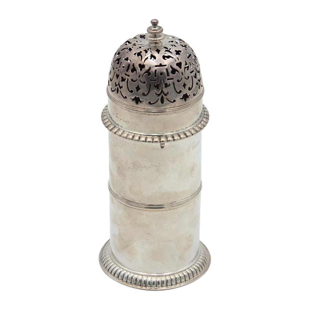 Silver sprinkler with reliefs