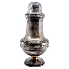 Silver sprinkler with reliefs on the surroundings and circular base