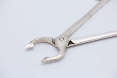 Silver sugar cube tongs